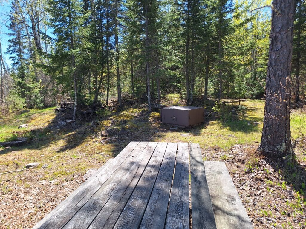 A weathered wooden platform in a forest clearing at Bobber Bay Campsites leads toward a metal bear-proof storage box, surrounded by tall trees and scattered sunlight. | Rainy Lake, MN