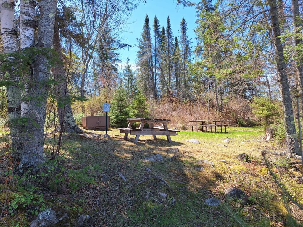 Two wooden picnic tables sit on grassy ground among tall trees at Shelter Rock Campsites. A brown storage box and a sign are visible near the tables, with scattered rocks and patches of sunlight brightening the forest clearing. | Rainy Lake, MN