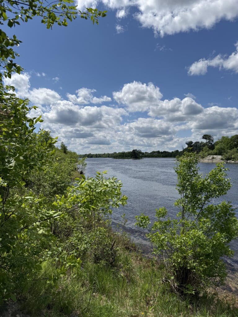A serene river flows through lush greenery in Riverside Park under a bright blue sky dotted with fluffy white clouds, creating a peaceful natural landscape on a sunny day. | Rainy Lake, MN
