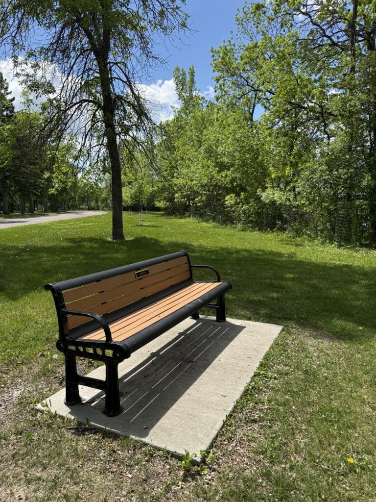 A wooden park bench with black metal arms sits on a concrete pad in Riverside Park, surrounded by green grass, trees, and dappled sunlight under a partly cloudy blue sky. | Rainy Lake, MN