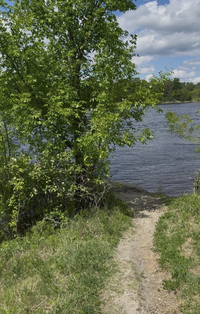 A narrow dirt path winds through green grass and leafy trees in Riverside Park, leading to the edge of a calm river beneath a partly cloudy blue sky. | Rainy Lake, MN