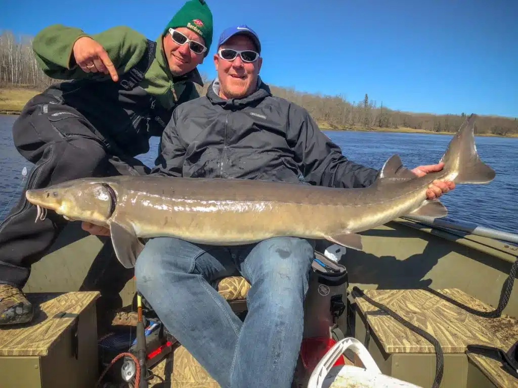 Two smiling people on a boat at Rainy Lake hold a large sturgeon fish together; one person points at the fish. A river, grassy bank, and trees are visible in the background under a clear Minnesota blue sky. | Rainy Lake, MN