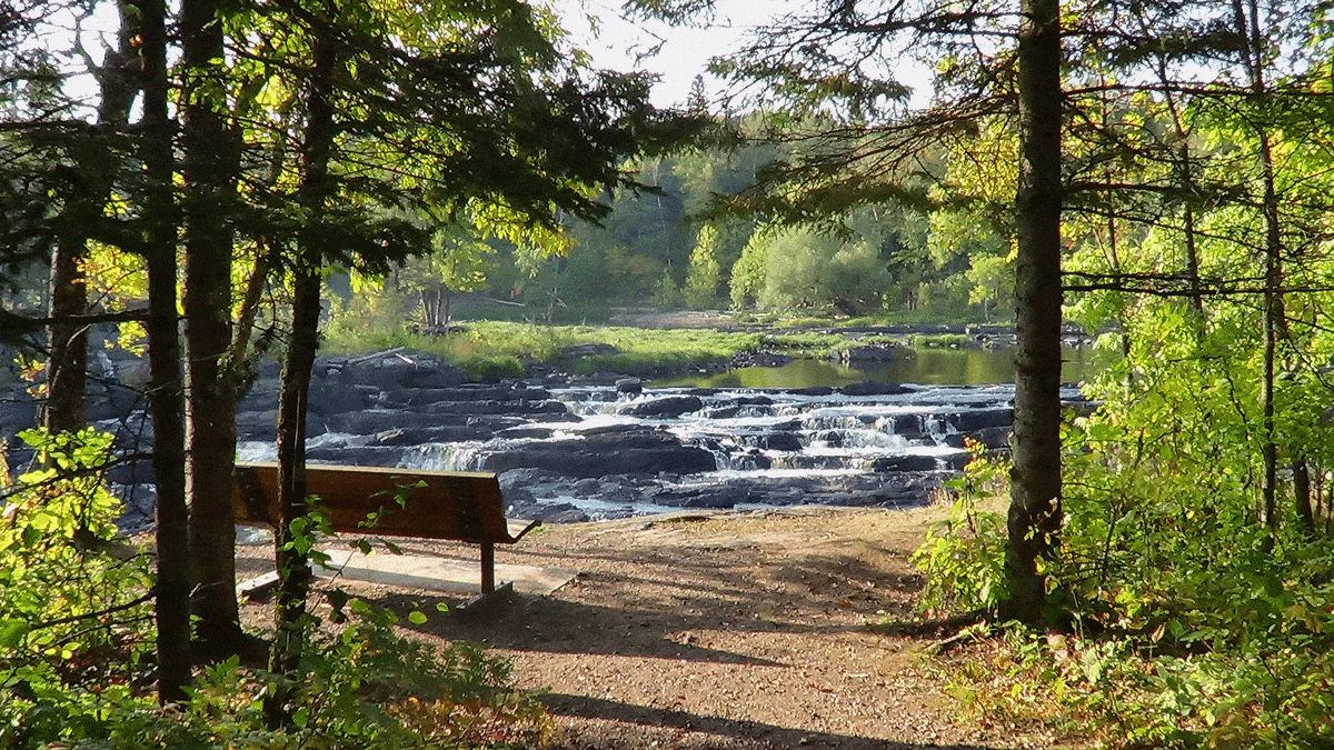 A wooden bench sits on a dirt path surrounded by trees, overlooking a small waterfall cascading over rocks in Minnesota’s lush, green forest on a sunny day. | Rainy Lake, MN