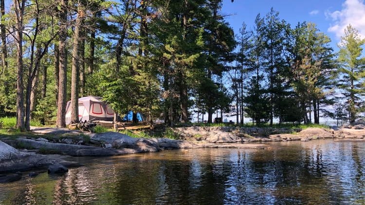 A tent is set up among tall trees on a rocky shoreline beside a calm lake under a blue sky, creating a peaceful camping scene ideal for trip planning or boating in nature. | Rainy Lake, MN