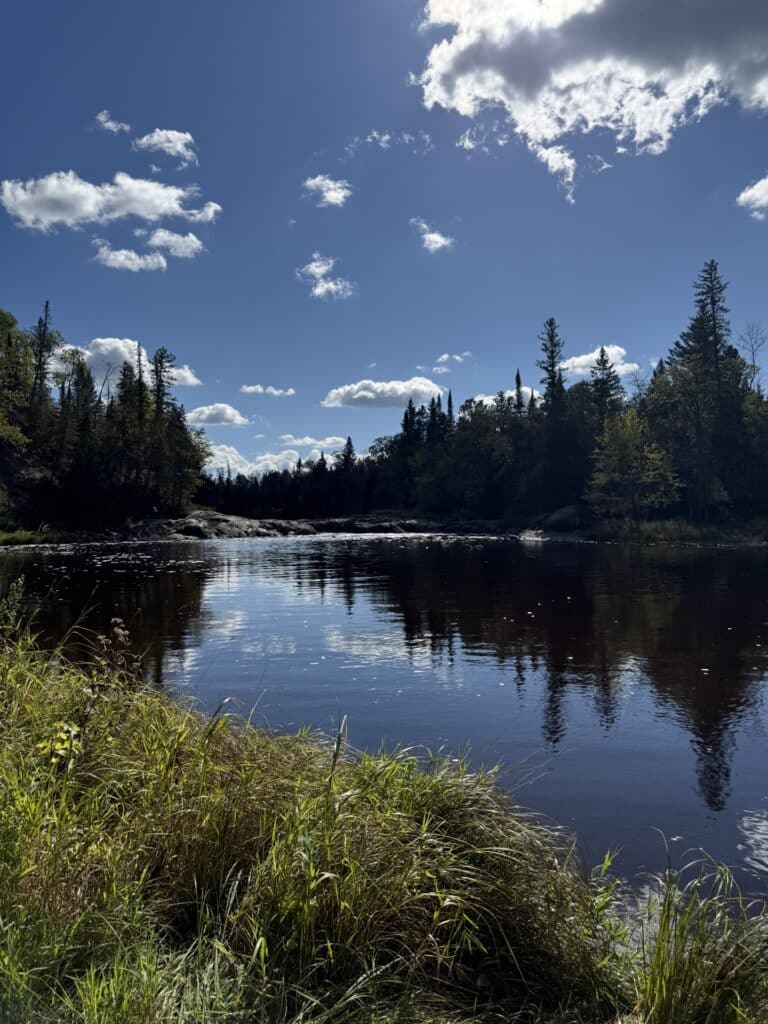 A calm river surrounded by trees reflects a partly cloudy blue sky, with tall grasses in the foreground and a forested shoreline in the background—reminiscent of scenes near waterfalls near International Falls MN. | Rainy Lake, MN