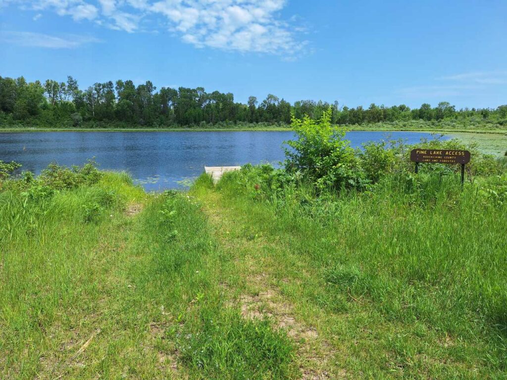 A grassy path leads to a small dock by a calm lake, surrounded by lush green plants and trees. A brown sign on the right reads “Pine Lake Access” under a bright blue sky with scattered clouds. | Rainy Lake, MN