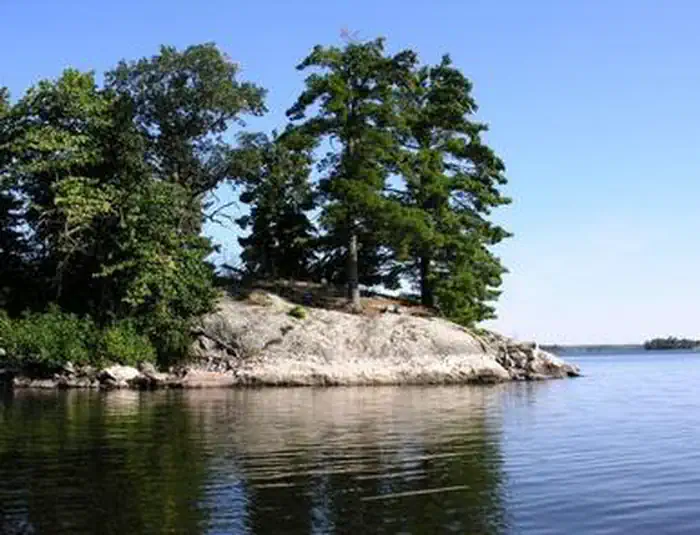 A rocky shoreline with tall green trees extends into the calm waters of Rainy Lake under a clear blue sky, reflecting the trees and rocks on the lake’s surface in Voyageurs National Park. | Rainy Lake, MN