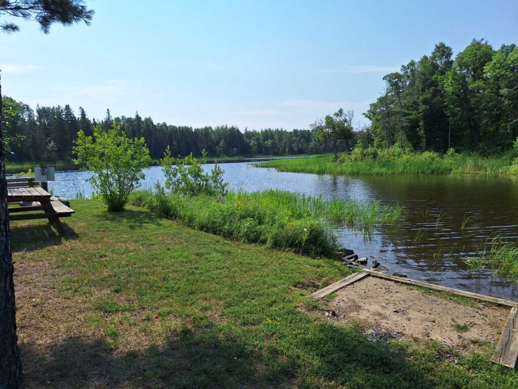 A grassy riverbank with picnic tables overlooks a calm river surrounded by lush green trees under a clear blue sky. | Rainy Lake, MN