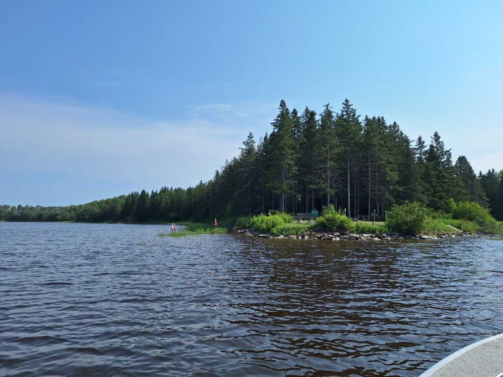 A calm lake with dark blue water surrounds a small, tree-covered peninsula near the Rat Root River Picnic Site. The sky is clear and blue, and lush green trees line the shore. A few people stand near the water’s edge. | Rainy Lake, MN