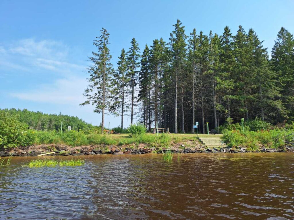A shoreline with brownish water along the Rat Root River, lush green trees, and a staircase leading up from the water’s edge into a dense forest under a clear blue sky—a perfect picnic site for nature lovers. | Rainy Lake, MN